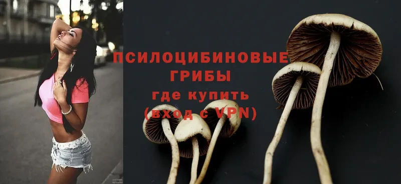 Галлюциногенные грибы Psilocybe  купить наркоту  Лянтор 